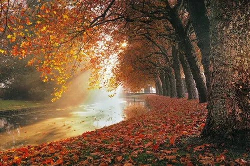 Automne